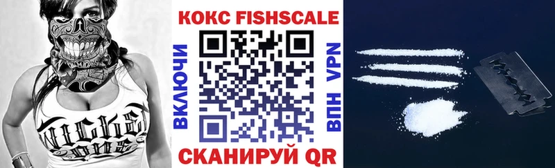 Купить  Циолковский  Кокаин Fish Scale 