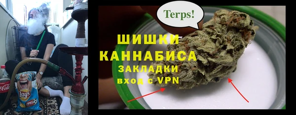 индика Михайловка