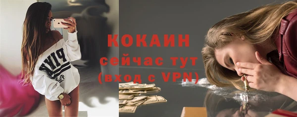 индика Михайловка