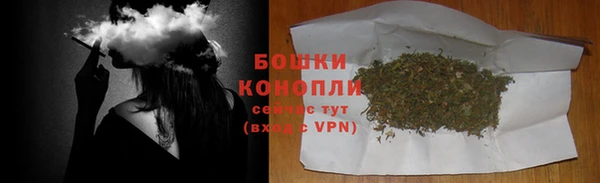 индика Михайловка
