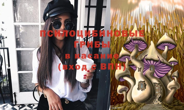 эйфоретик Михайловск