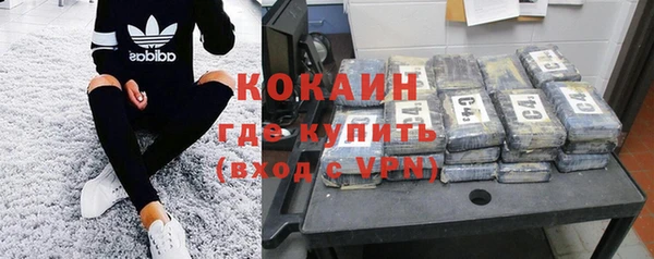 индика Михайловка